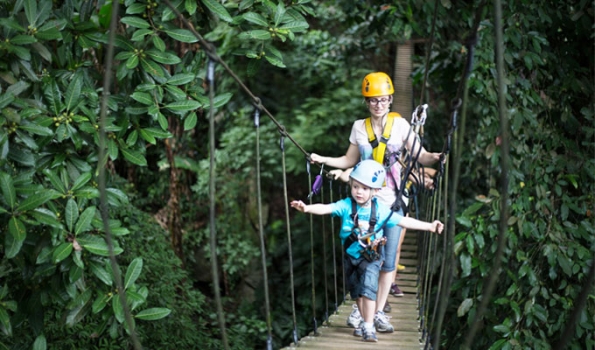 Zipline Chiang Mai 8Adventures Flight of the Gibbon Sky Bridge