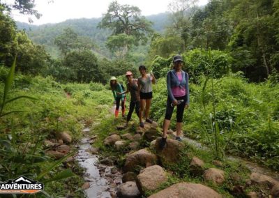 what to do in chiang mai jungle trekking tour 8adventures