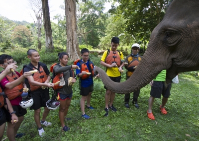 8Adventures Multi Day School Trip Thailand Elephant Experience