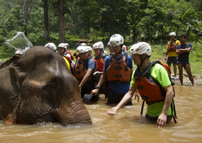 8Adventures Multi Day School Trip Ethical Elephant Experience Washing Chiang Mai