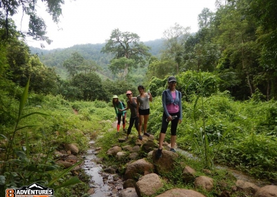 Jungle trekking in Mae Taeng