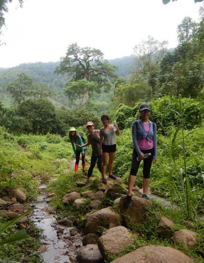 Jungle trekking in Mae Taeng