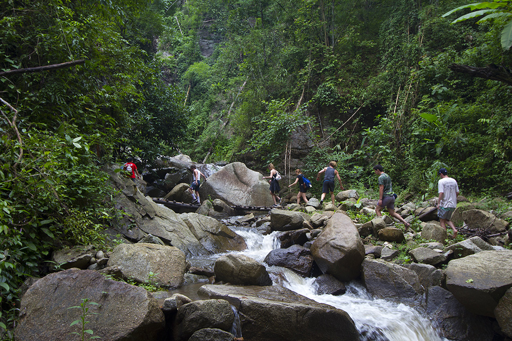 Trekking in June