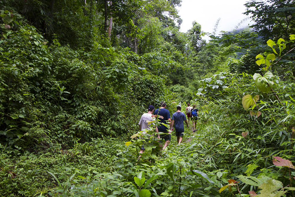 Jungle Trekking Thailand