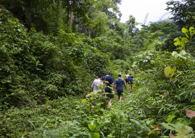 8Adventures Jungle Trek
