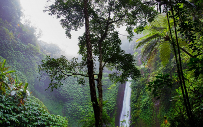 Discover Waterfalls Around Chiang Mai