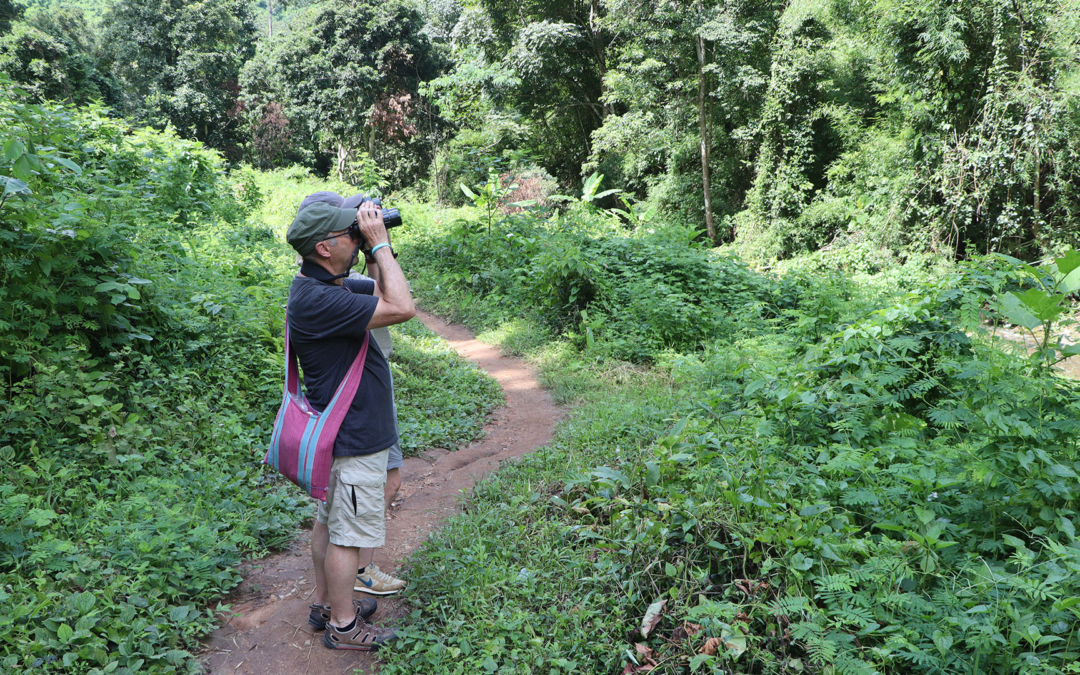 Birdwatching in Mae Taeng