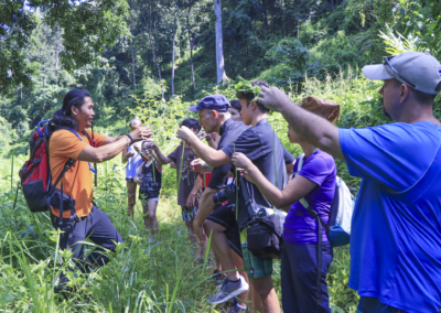 Trekking in Chiang Mai