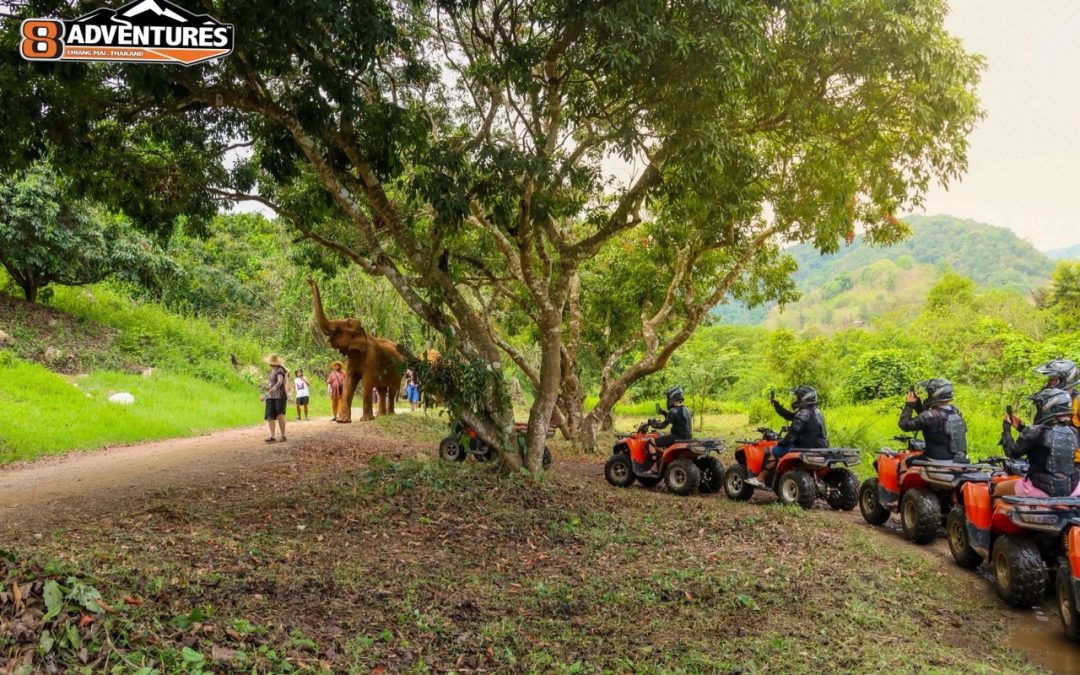 Beyond Chiang Mai: Discover Rural Thailand on an ATV Tour