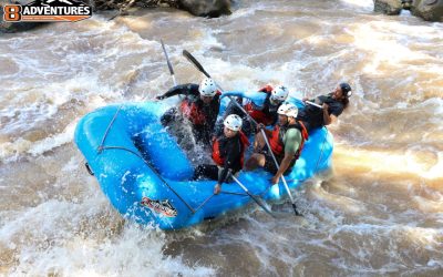 Whitewater Rafting in Chiang Mai October: What to expect